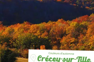 Sortie Nature : Couleurs d'automne