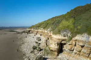 Les détectives naturalistes au falaises des Roches Noires