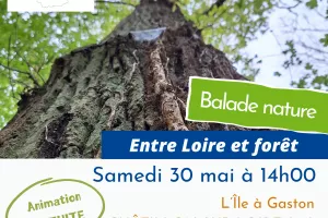 Balade nature : Entre Loire et forêt sur l'île à Gaston