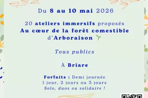 L'école de la forêt - session printemps