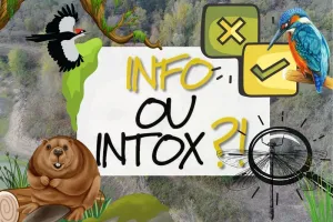 Balade Loire : Info ou intox de Loire