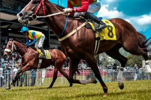 Courses hippiques diurnes
