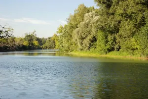 Découverte des secrets de l'Adour "Sur les chemins secrets de la biodiversité"