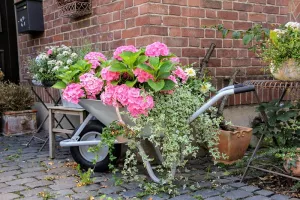 Vide jardin de printemps