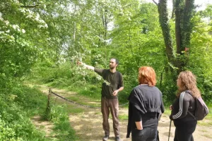 Plantes sauvages comestibles, pique-nique et balade animée en forêt