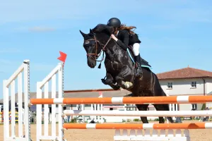 Concours de saut d'obstacles