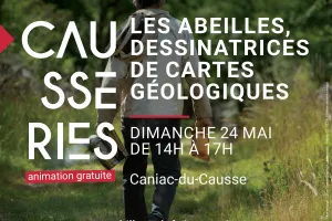 Les abeilles, dessinatrices de cartes géologiques Balade en territoire apicole