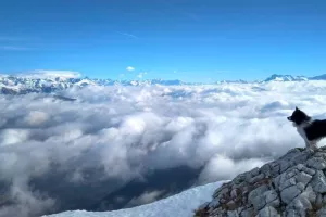 Exploration du Vercors sauvage