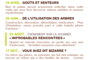 Vous avez dit bizarre ?