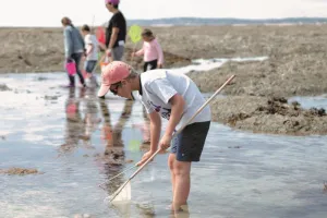 Initiation pêche à pied