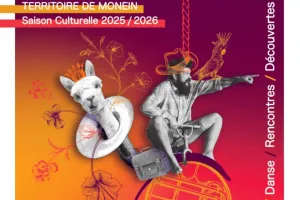 Musique classique : Orchestre de Pau Pays de Béarn