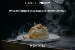 Dans le noir ? explorez vos sens