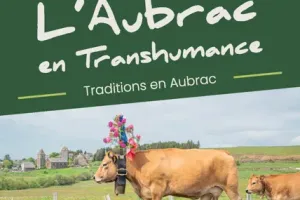L'Aubrac en Transhumance, au village d'Aubrac