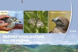 Les oiseaux des Gorges de la Dourbie - LPO