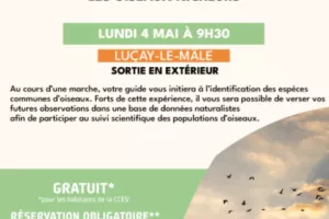 Reconnaître et recenser les oiseaux nicheurs