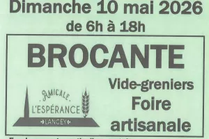 Brocante, Vide-Greniers et Foire Artisanale