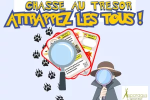 Attrapez les tous ! La chasse au trésor de la biodiversité et des Pokémons