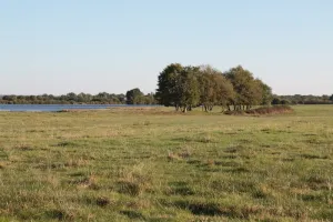 Histoire des paysages et des étangs de la Brenne