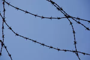 Exposition : Against forgetting