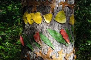 LAND ART DES TOUT PETITS