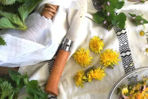Atelier : devenez chef·fe anti-gaspi (cuisine de fanes de légumes)