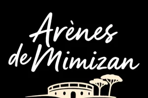 Toro Ball