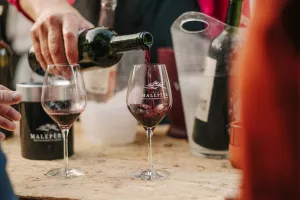 LES JEUDIS EN MALEPÈRE 2026 - DOMAINE GIRARD