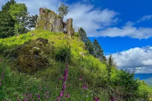 Sentiers Plaisir : Le château de la Roche