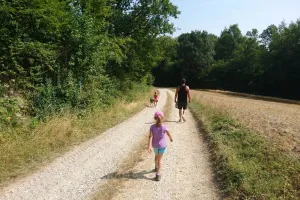 Rando des Marcassins