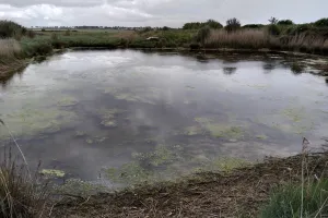 Les marais du Platon, du crépuscule à l'obscurité