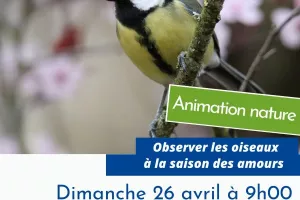 Balade nature sur les prairies des Chènevières « Observer les oiseaux à la saison des amours»
