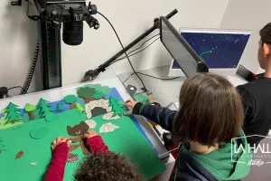 Stage culturel : cinéma d'animation pour les 8/11 ans