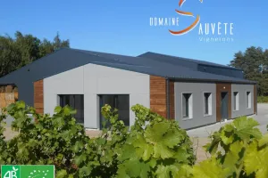 Immersion vigneronne entre terroirs et cépages au Domaine Sauvète à Monthou-sur-Cher