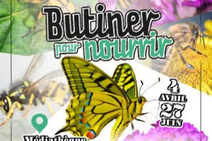 Exposition : Butiner pour nourrir, l'expo qui fait le buzzzz !
