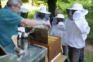 Portes ouvertes au rucher école des sources