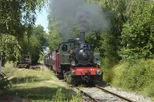 Activité : le Train Thur Doller Alsace