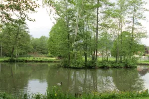 Pêche à l'étang
