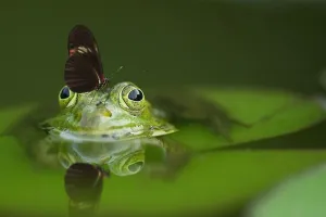 Balade nature dans le marais en famille