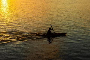 Nocturne en kayak