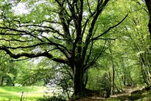 Randonnée commentée : Terres de légendes