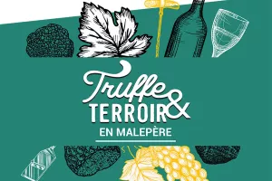 TRUFFE ET TERROIR