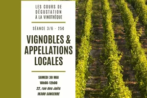 Cours de dégustation : cépage et terroirs