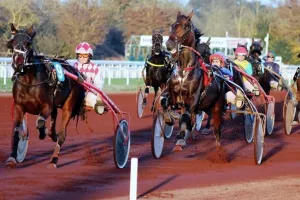 Courses hippiques - réunion de Trot