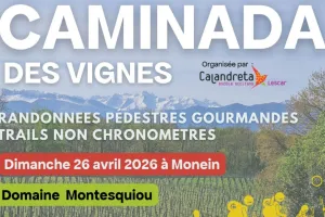 Caminada des vignes