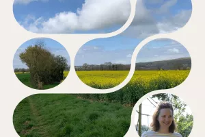 Balade guidée - À la découverte de la campagne percheronne