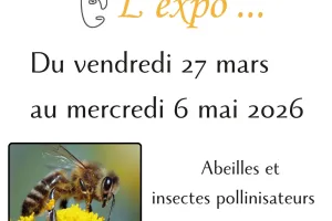 Expo - Abeilles et insectes pollinisateurs