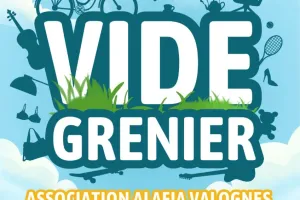 Vide Grenier
