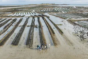Séjour : Equinoxe, le Cotentin au rythme des grandes marées