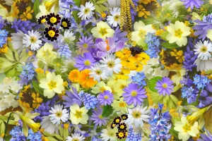 Fête de printemps