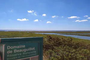 La plage et les dunes